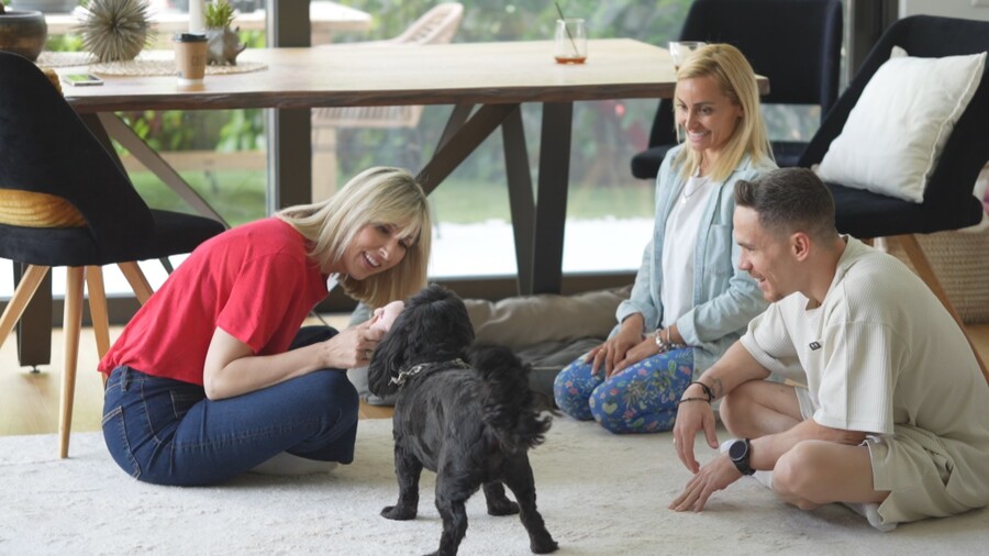 PET_STORIES_11.05_1_f860a.jpg