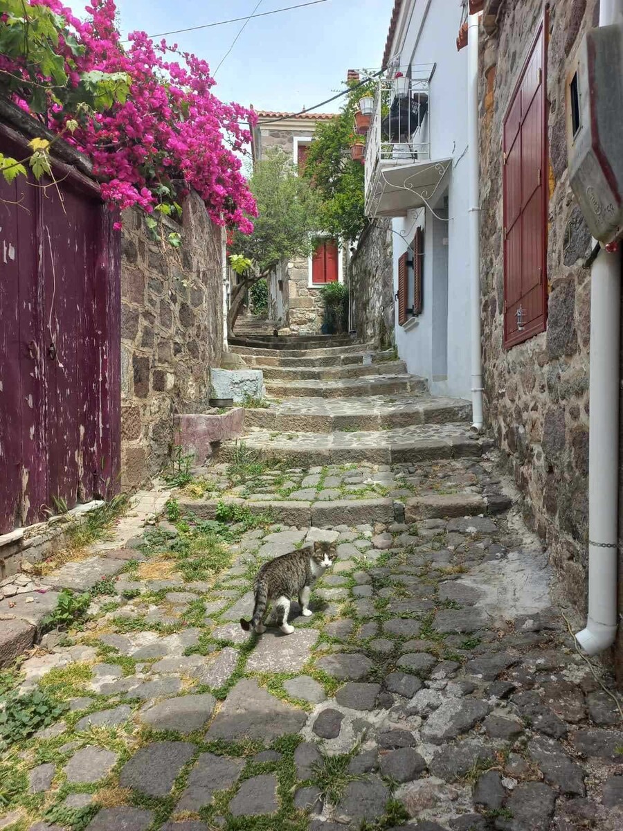 OPOU_YPARXEI_ELLADA_HIGHLIGHTS_VOREIO_AIGAIO_9_9529c.jpeg