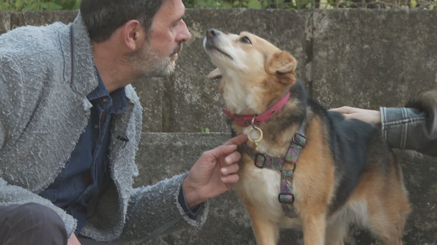 PET_STORIES_18.05_8_a9750.jpg