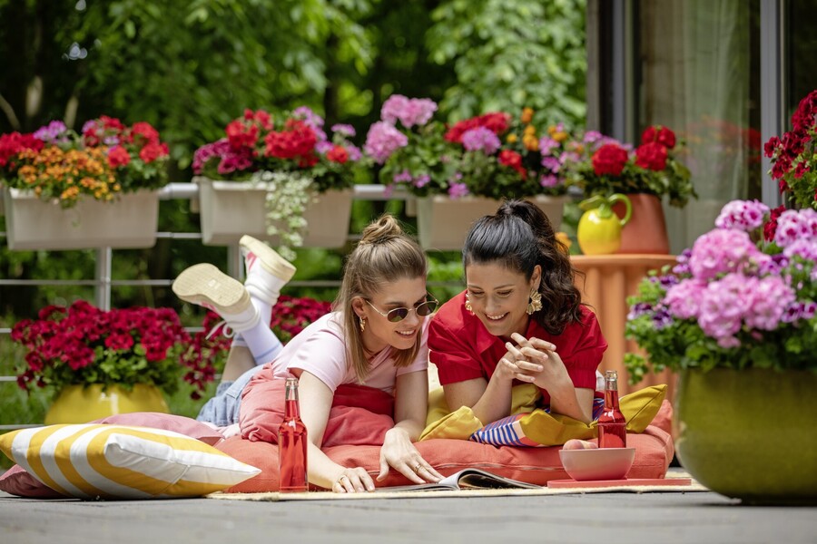2025_Geraniums_5000_Joyful_Outdoor_Living_09_69cdc.jpg