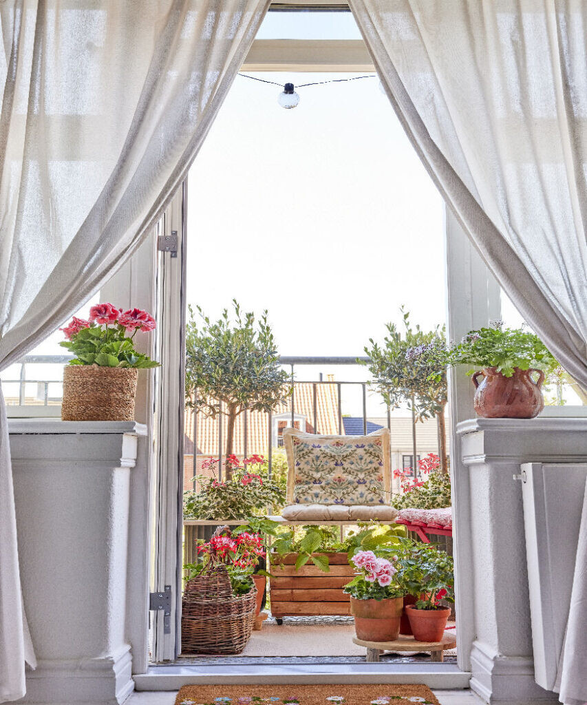2025_Geraniums_4000_Small_Balcony_Retreat_03-853x1024_55d3d.jpg