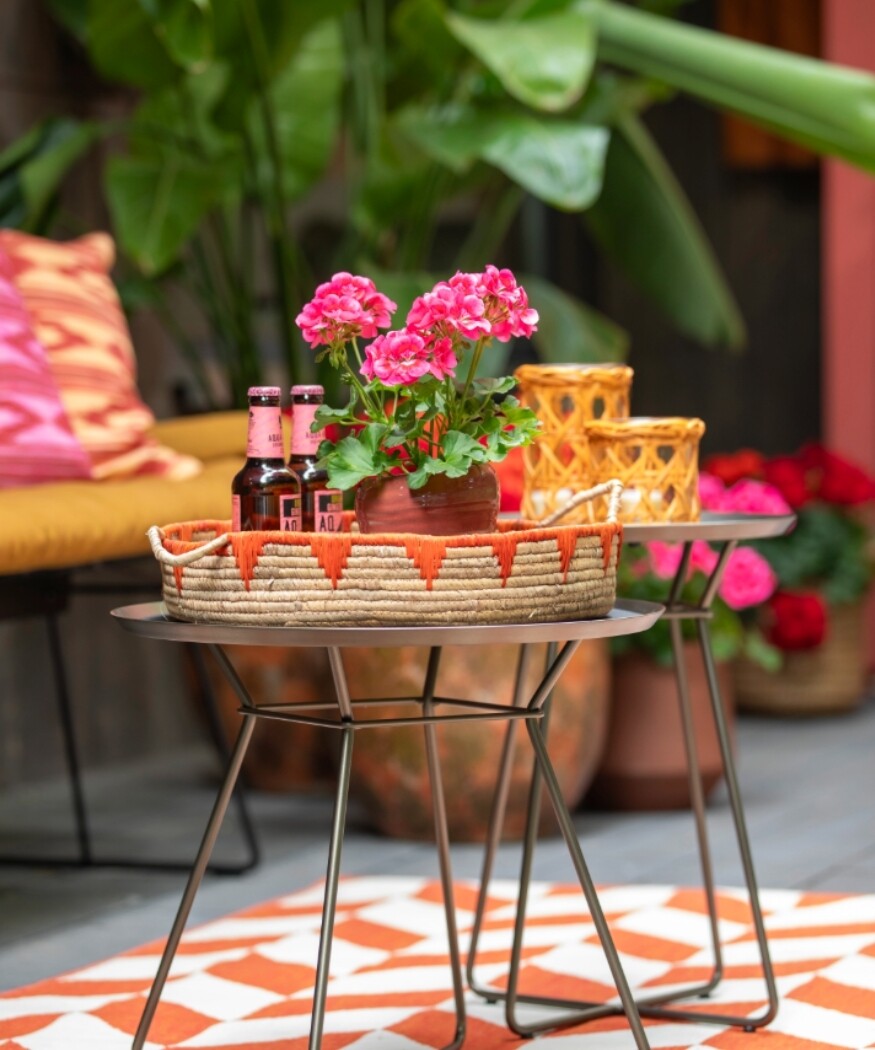 2025_Geraniums_5000_Joyful_Outdoor_Living_19_52aca.jpg