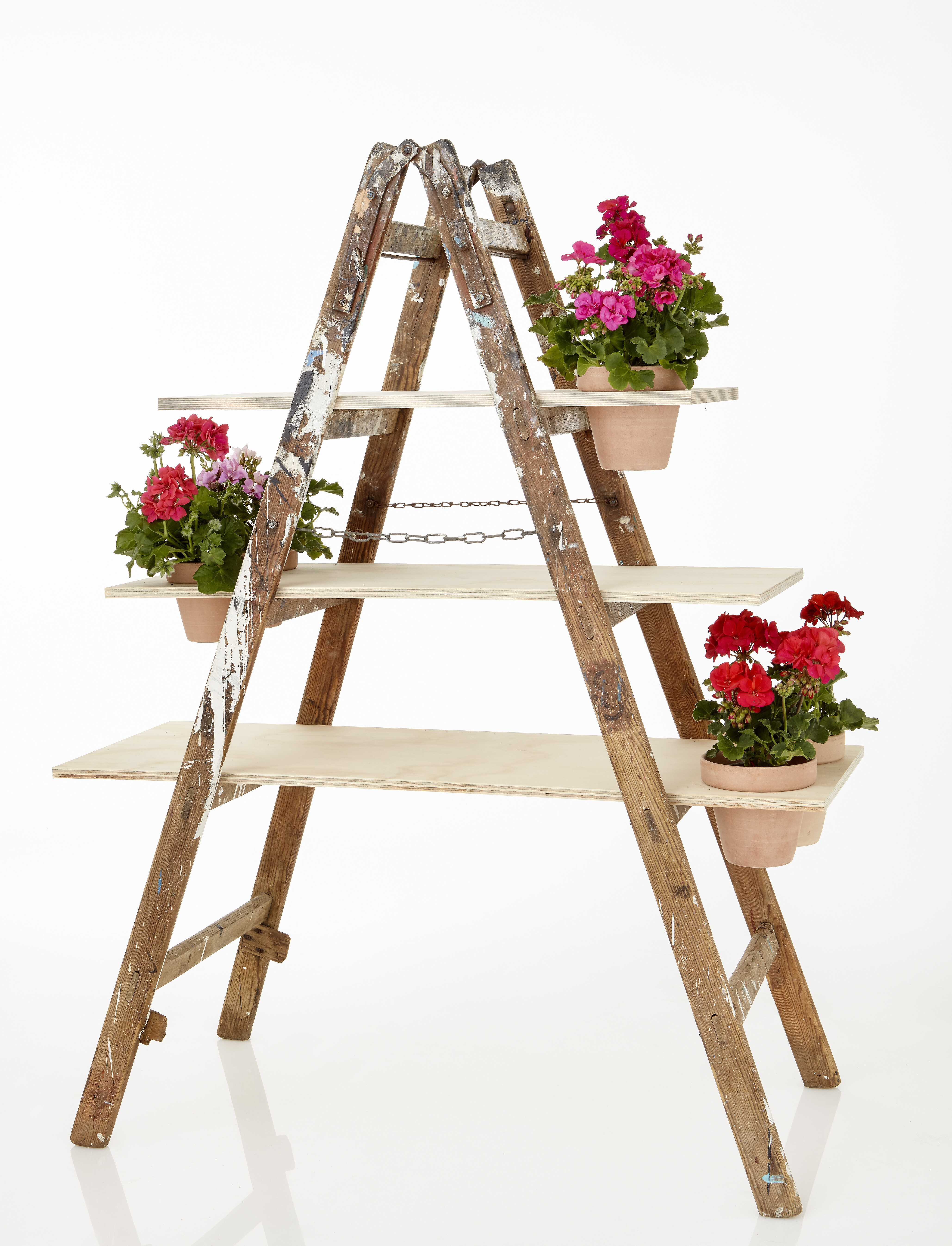 2021 Geraniums 4050 DIY Urban Flower Ladder 08 38d29