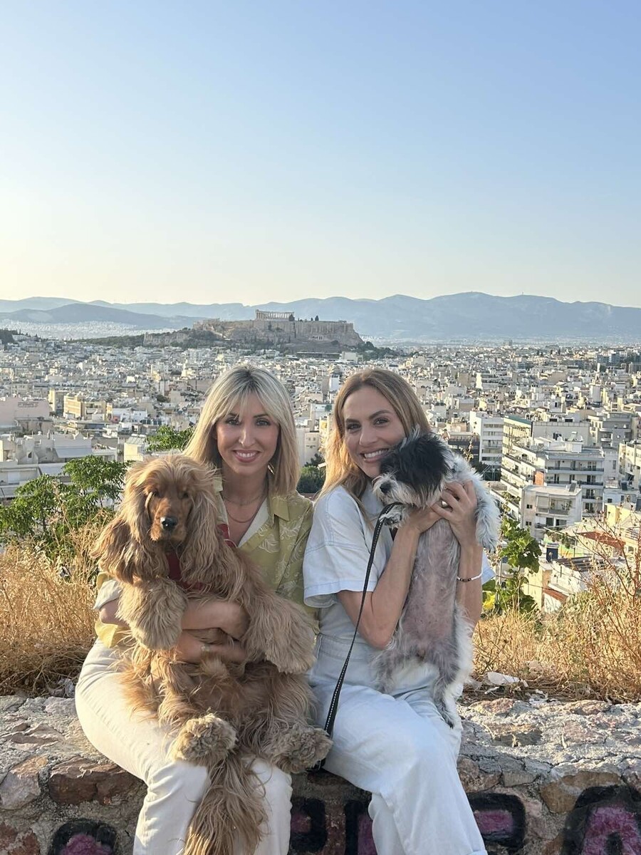 PET_STORIES_08.06_1_4d928.jpeg