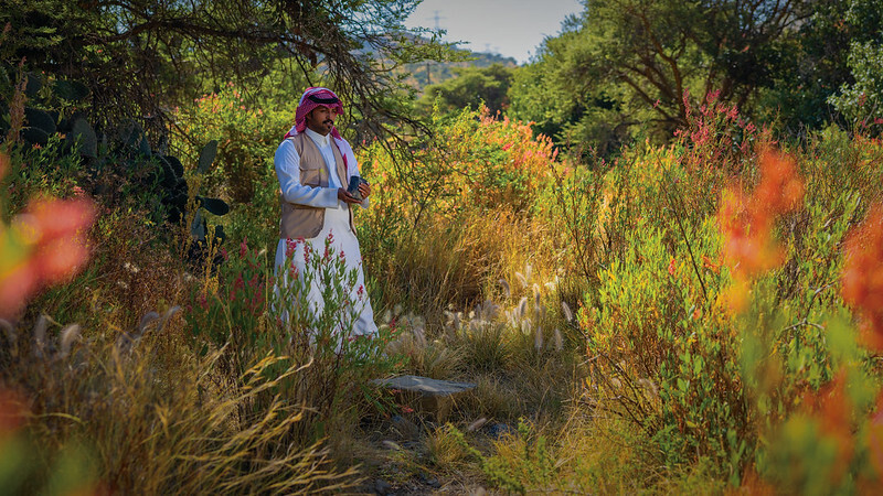 Saudi_Green_Initiative_3_96025.jpg