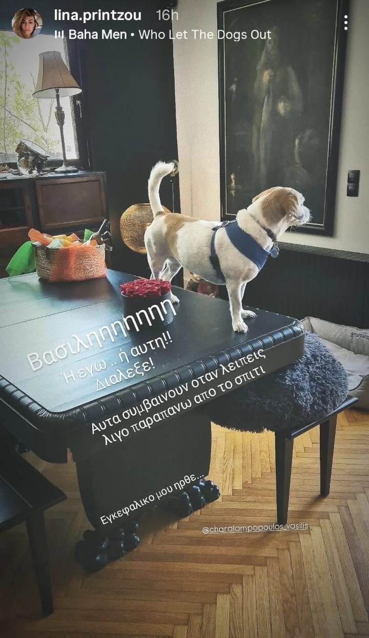 LINA_PRINTZOU_PROS_VASSILI_XARALAMPOPOYLO_02443.jpeg