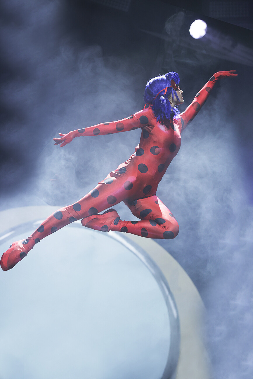 2_MIRACULOUS_LADYBUG_CAT_NOIR_351aa.jpg