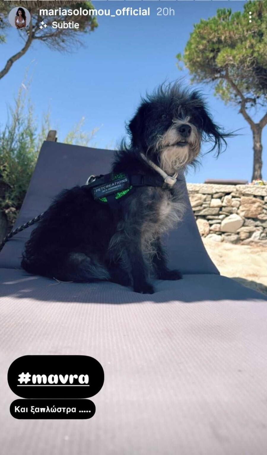SOLWMOU_PAROS_MATI_2_17c85.jpeg