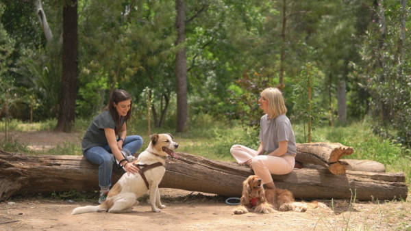 Pet Stories: Ο ξεχωριστός Diego στη ζωή της Μάρθας Λαμπίρη Φεντόρουμ