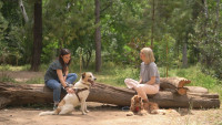 Pet Stories: Ο ξεχωριστός Diego στη ζωή της Μάρθας Λαμπίρη Φεντόρουμ