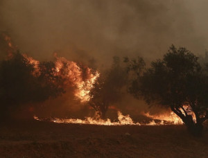 Η Ελλάδα φλέγεται ακόμη μία φορά: Τι μπορείς να κάνεις για να βοηθήσεις