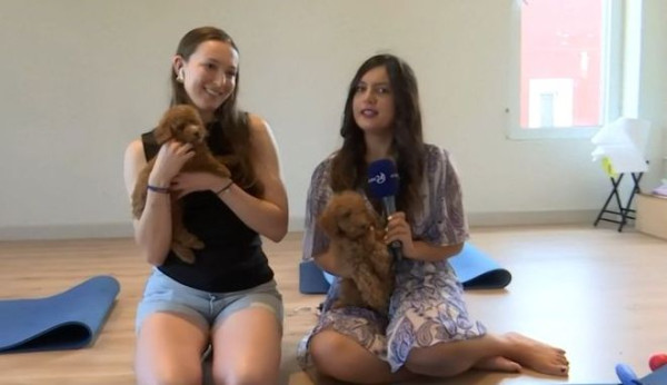 Puppy Yoga: Όταν η χαλάρωση συναντά αξιαγάπητα κουτάβια