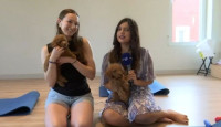 Puppy Yoga: Όταν η χαλάρωση συναντά αξιαγάπητα κουτάβια