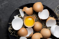 8 ενδιαφέροντα facts για το αυγό που μπορεί και να μη γνώριζες
