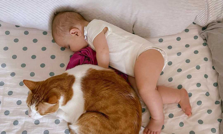 Μαίρη Συνατσάκη: Η κόρη της και η γάτα της κοιμούνται μαζί κι εκείνη κάνει το πιο απίθανο σχόλιο