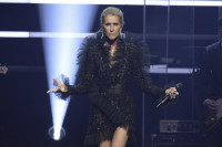 Eurovision 2025: Το Lear Jet της Celine Dion στο αεροδρόμιο της Βασιλείας;