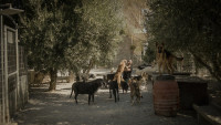 To ντοκιμαντέρ «TAKIS.» ταξίδεψε στο Los Angeles Greek Film Festival