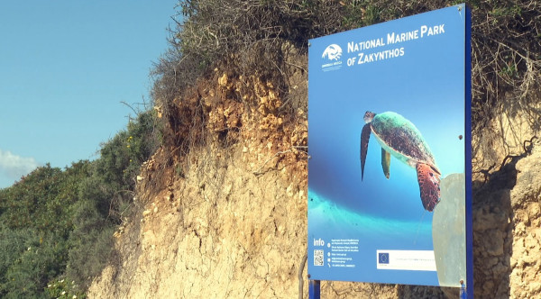 Όπου υπάρχει Ελλάδα - Λαγανάς Ζακύνθου: Ο παράδεισος της χελώνας καρέτα - καρέτα